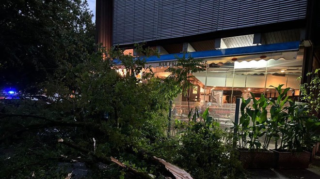 Fotografije razsežnosti neurja v Ljubljani: v Trnovem drevo padlo na vrt gostinskega lokala! (FOTO) (foto: Uredništvo)