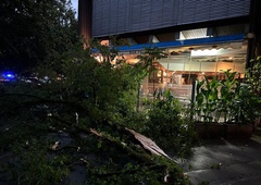 Fotografije razsežnosti neurja v Ljubljani: v Trnovem drevo padlo na vrt gostinskega lokala! (FOTO)