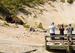 Nenavaden napad v priljubljenem nacionalnem parku: turistko zaradi hudih ran odpeljali s helikopterjem