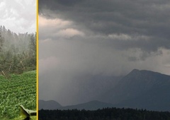 Grozljiva moč narave: v Topolšici močan veter poskrbel za neverjetno razdejanje, vse je polomljeno (FOTO)mljeno-foto/