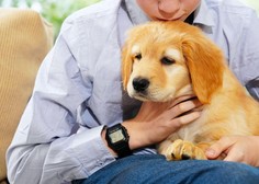Na zdravje pasjega mladička lahko vplivate z eno pomembno odločitvijo