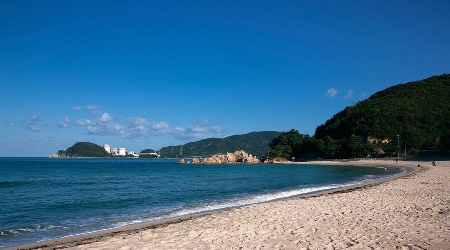 Kaj se dogaja na priljubljeni plaži? Zlomljena rebra plavalcev, ugrizi ... (foto: Profimedia)