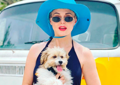 Enostavni nasveti, kako na hitro ohladiti psa brez klime (zares delujejo!)