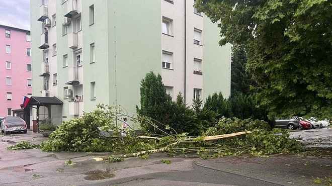 Močno neurje pustošilo po državi: nevihtni veter ruval drevesa, hiše so se tresle, odkrivalo je strehe (foto: Facebook/Neurje.si)