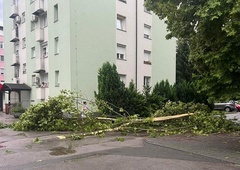 Močno neurje pustošilo po državi: nevihtni veter ruval drevesa, hiše so se tresle, odkrivalo je strehe