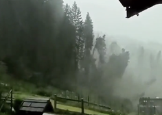 Zračni vrtinec povzročil grozljivo razdejanje: drevesa so padala kot domine (VIDEO)