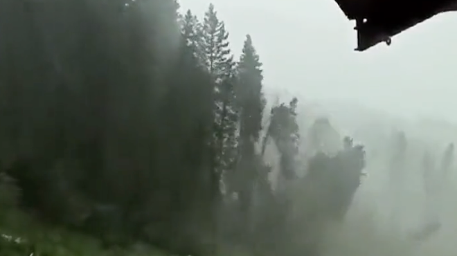 Zračni vrtinec povzročil grozljivo razdejanje: drevesa so padala kot domine (VIDEO) (foto: Twitter/aametsoc)