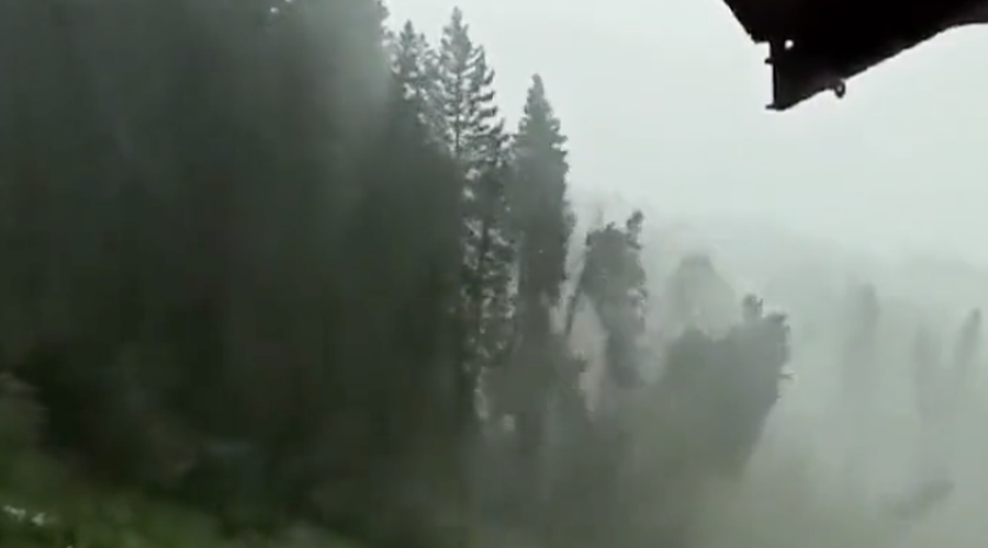 Zračni vrtinec povzročil grozljivo razdejanje: drevesa so padala kot domine (VIDEO) (foto: Twitter/aametsoc)