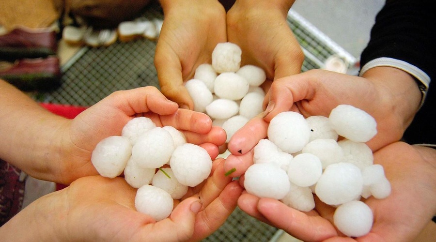 Vse, kar morate vedeti o toči in kako se zaščititi (foto: Profimedia)