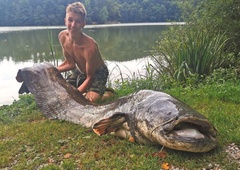 FOTO: Kakšen ulov! Oče in sin iz Šmartinskega jezera potegnila ogromnega soma