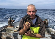 Srčna gesta ribiča, ki je pomagal pri reševanju izgubljenega mornarja in njegove psičke