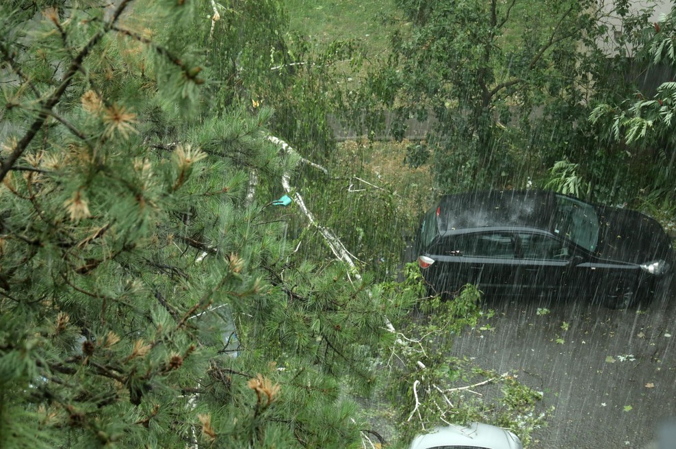 Veter rušil drevesa, plaz zaprl cesto, Hrvaška v izrednih razmerah (foto: Bobo)
