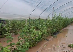 Solze in obup na koroški kmetiji, odneslo jim je vse: "Tisoče ur ročnega dela je šlo v nič"