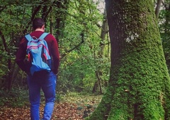 Slovenec v gozdu naletel na neverjeten prizor kot iz filma in vse skupaj še posnel! (VIDEO)