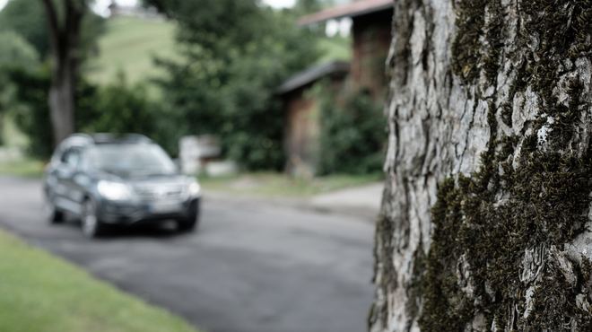 Zaradi posledic trčenja v drevo na Štajerskem življenje izgubila voznik in 18-letni sopotnik (foto: Profimedia)