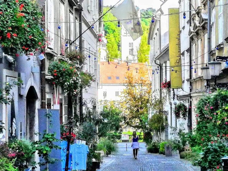 Nekdaj Ribiška ulica, danes Križevniška ima bogato kulturno zgodovino, pa tudi sedanjost.