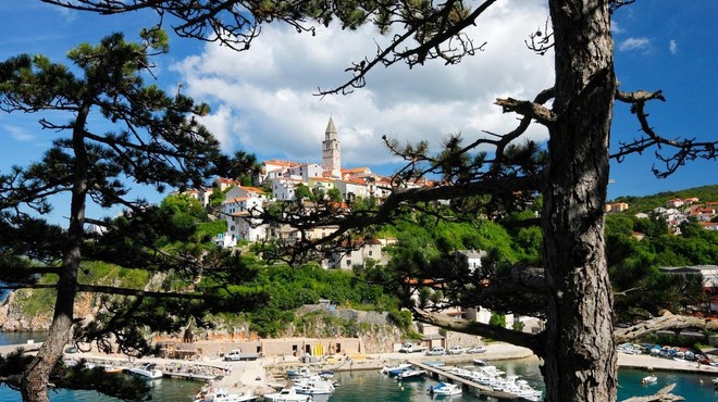 Najstarejši hrast Jadrana: našli ga boste na hrvaškem otoku, ki je priljubljena destinacija Slovencev (foto: profimedia)