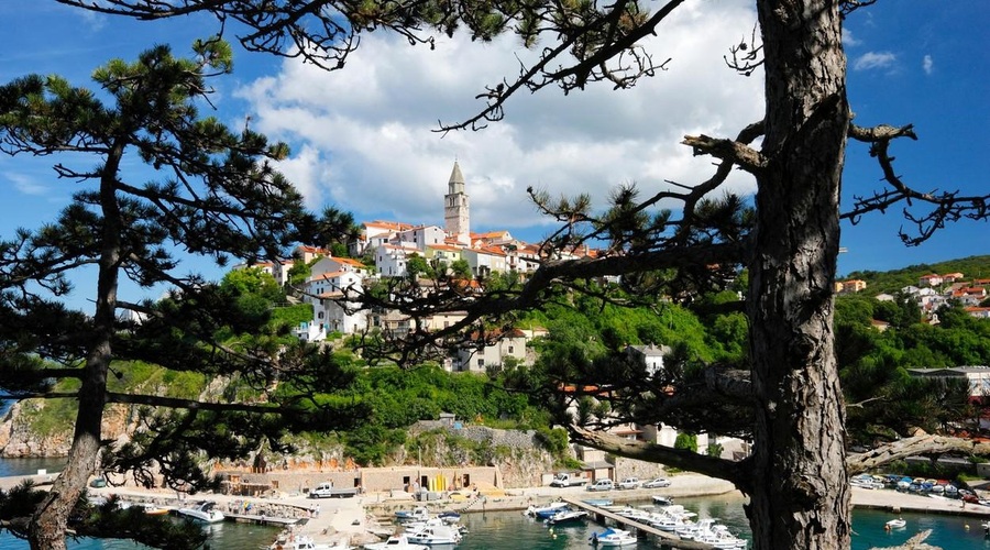 Najstarejši hrast Jadrana: našli ga boste na hrvaškem otoku, ki je priljubljena destinacija Slovencev (foto: profimedia)