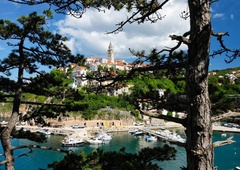 Najstarejši hrast Jadrana: našli ga boste na hrvaškem otoku, ki je priljubljena destinacija Slovencev