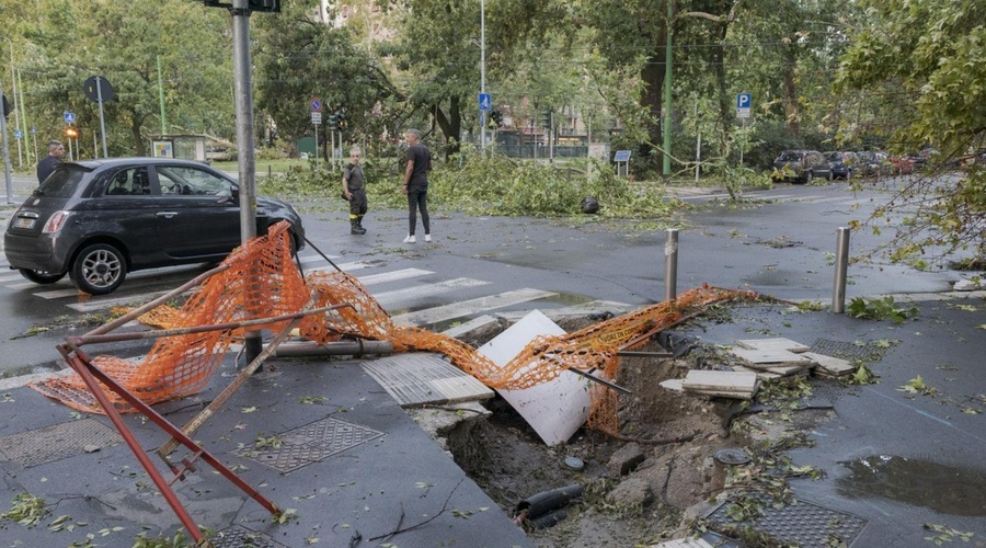Sodni dan pri sosedih: na poti v službo umrla ženska, drevo padlo na družino ... (grozljivih zgodb kar ni konec) (foto: Profimedia)