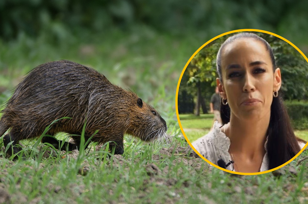 Tina Gaber uglednega slovenskega znanstvenika neupravičeno obtožila korupcije? Prihajajo prvi odzivi iz znanstvenih krogov (foto: Profimedia/Facebook/Tina Gaber/posnetek zaslona/fotomontaža)