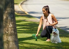 Prek DNK-testa bodo iskali in kaznovali tiste, ki ne pobirajo pasjih kakcev (poglejte, kakšna je kazen)