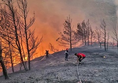 Grčija še vedno v plamenih: več mrtvih, evakuacija tisočih ...
