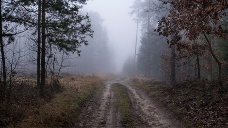 Fotografija je simbolična.