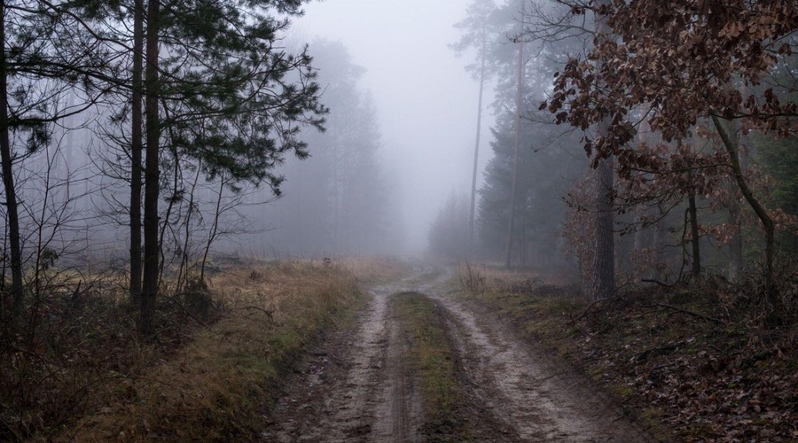 Fotografija je simbolična. (foto: Profimedia)