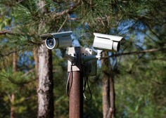V hrvaške gozdove namestili več kot 130 kamer (poglejte, zakaj)
