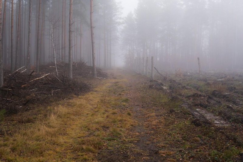 Fotografija je simbolična.