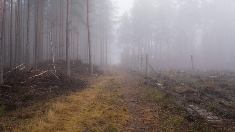 Fotografija je simbolična.