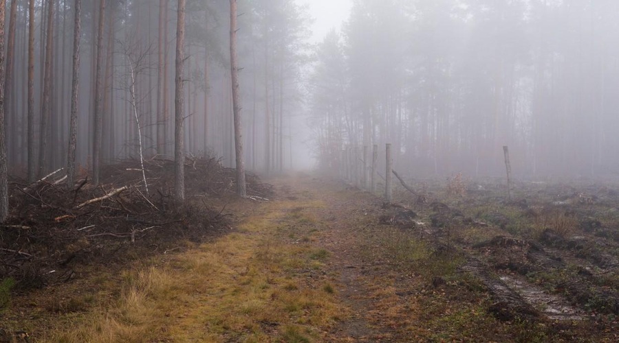 Fotografija je simbolična. (foto: Profimedia)