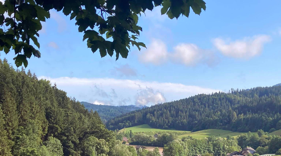 Vabljivi sončni žarki: takšnega vremena si v začetku aprila zagotovo nismo predstavljali (foto: Damjan Herman/Koroškenovice/Bobo)
