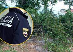 Iskalna akcija v Pomurju: pogrešano osebo našli zapleteno v krošnjo podrtega drevesa