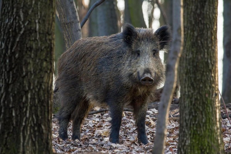 Fotografija je simbolična.