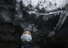 Oživili 46.000 let staro glisto: ali je sibirski permafrost tempirana bomba?