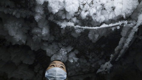 Oživili 46.000 let staro glisto: ali je sibirski permafrost tempirana bomba?