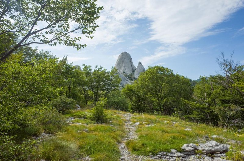 Narodni park Paklenica je eden izmed osmih narodnih parkov na Hrvaškem.