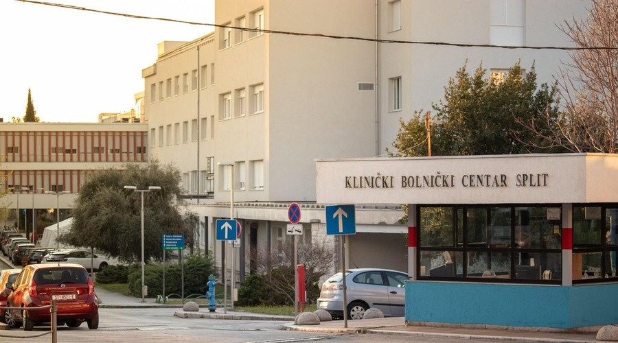 Družinske počitnice na Hrvaškem pokvarila strupena žival: življenje 6-letnika viselo na nitki (foto: Profimedia)
