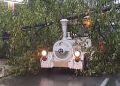 VIDEO: Na Bledu med vožnjo po mestu na turistični vlak padlo drevo (na njem je bilo takrat več potnikov)