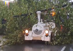 VIDEO: Na Bledu med vožnjo po mestu na turistični vlak padlo drevo (na njem je bilo takrat več potnikov)