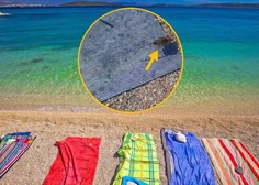 Ko sproščen dan ob morju pokvari ... podgana! Obiskovalci plaže na Jadranu v šoku (VIDEO)