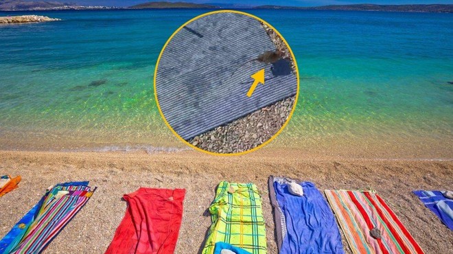 Ko sproščen dan ob morju pokvari ... podgana! Obiskovalci plaže na Jadranu v šoku (VIDEO) (foto: Profimedia/Instagram/fotomontaža)