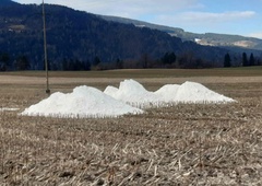 Drama na koroških poljih: prevarani kmeti so jih nevede onesnažili s težkimi kovinami (policija razkrila osupljive podrobnosti)