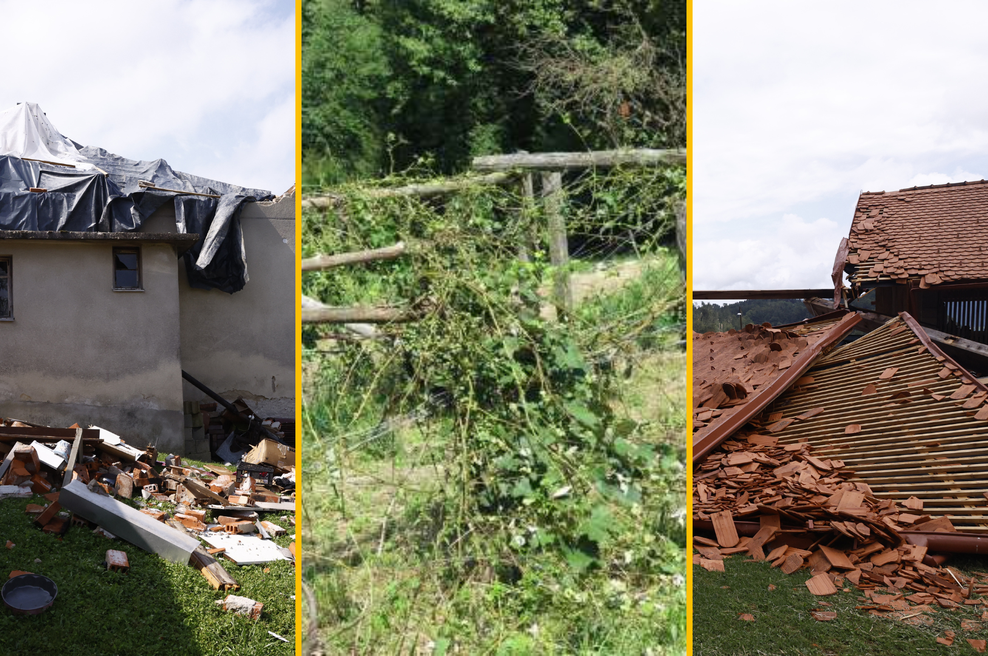 V neurjih uničeni pridelki, poškodovane ceste in objekti: kako bo ljudem pomagala država? (foto: Borut Živulovič/Bobo/Andreja Seršen Dobaj/STA/fotomontaža)