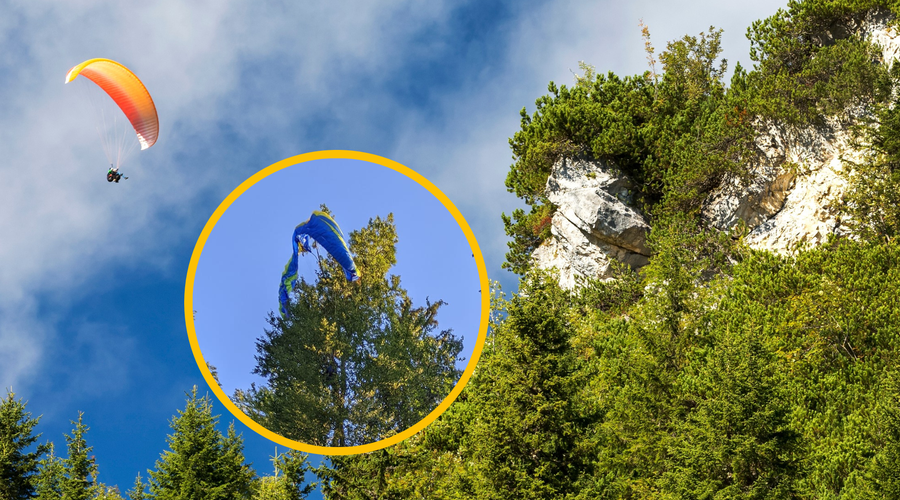 Nemška turista v Tolminu z jadralnim padalom pristala na ... drevesu (poglejte, kako sta se rešila) (foto: Profimedia/Facebook/Gorska reševalna služba Kranj/fotomontaža)