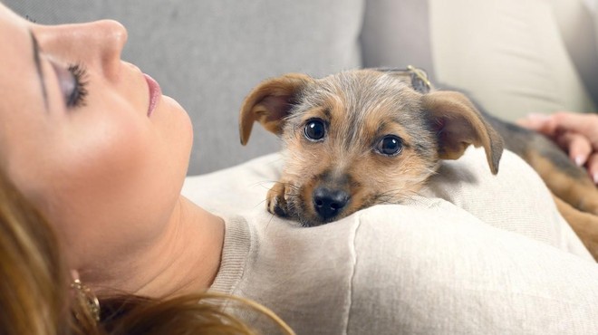 Samo 5 minut crkljanja s psom na dan ima neverjeten učinek na vaše zdravje (foto: Profimedia)