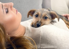 Samo 5 minut crkljanja s psom na dan ima neverjeten učinek na vaše zdravje