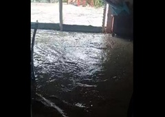 Obupani kriki na pomoč: "Vse je odneslo! Vse! V hišah je voda, vse plava!" (VIDEO)